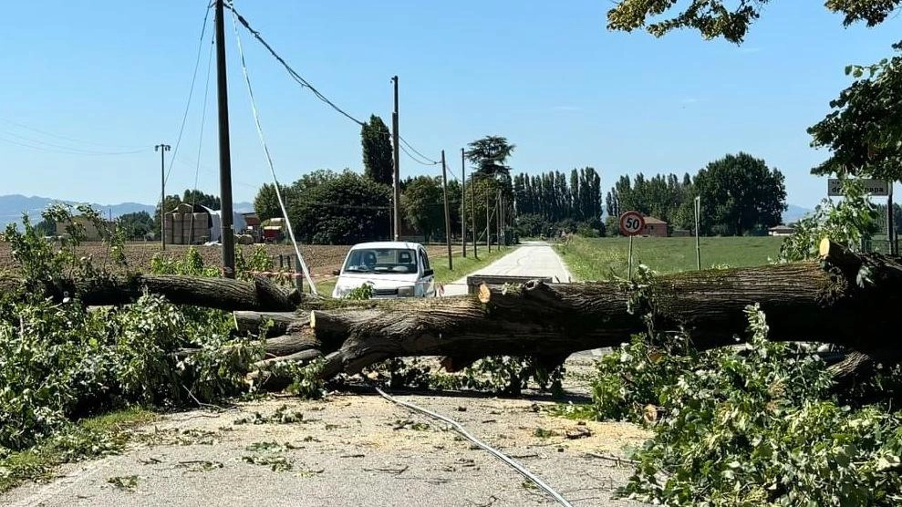 Grossi disagi a Castel Maggiore. A Granarolo è crollato il muretto in cemento che delimita gli impianti sportivi