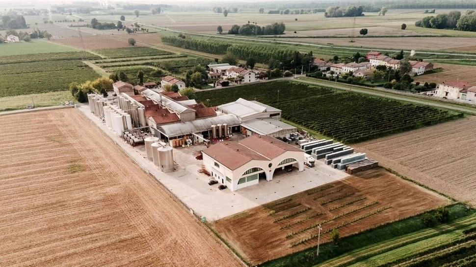 L’uva Fogarina rinasce con la Cantina Sociale