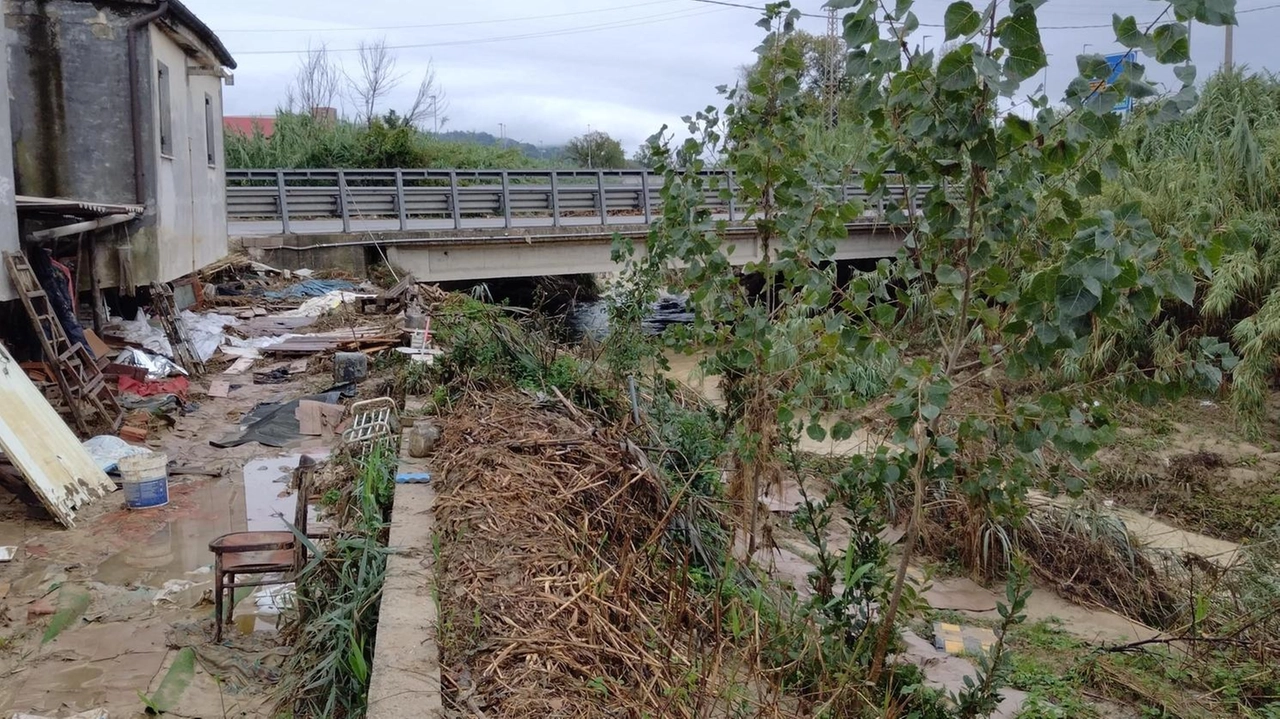 L’alveo dopo l’alluvione di quindici giorni fa è ancora pieno di detriti e piante di ogni tipo "Quando c’è l’allerta non si dorme e stiamo tutti alla finestra. I danni? Chissà se ce li pagano".