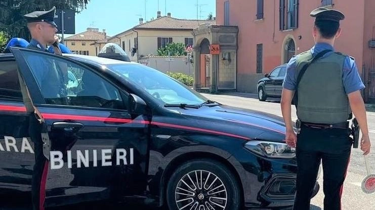 Le indagini sono state effettuate dai carabinieri di Borgo Panigale