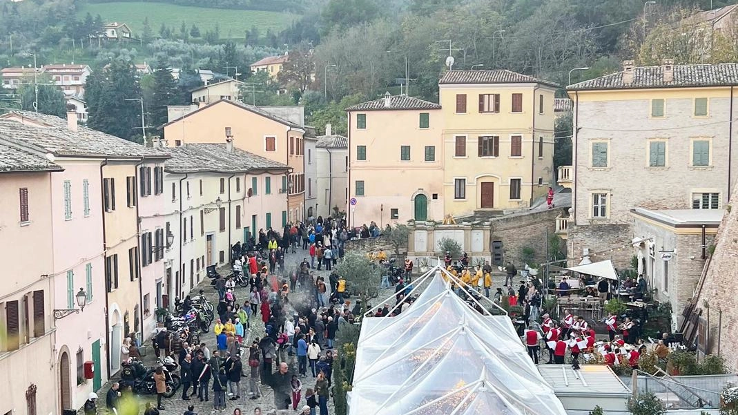 Festival dell’olio Dop, buonissima la prima: "Prodotto eccellente, tante olive. Peccato la resa"