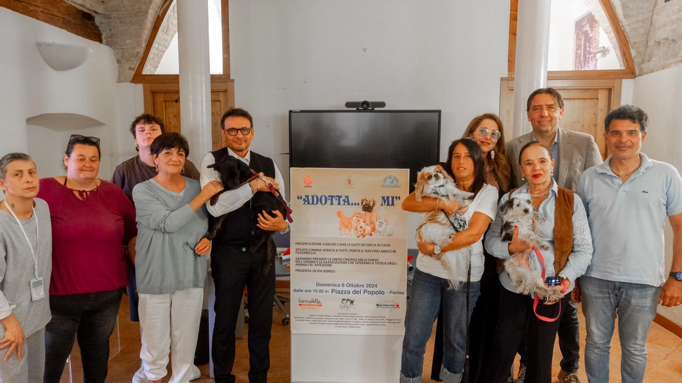 Appello per le adozioni . Festa in Piazza del Popolo  con i cani e i gatti dei rifugi