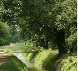 Novità per l’ex cava Gattelli: "Un bosco e un ecodotto"