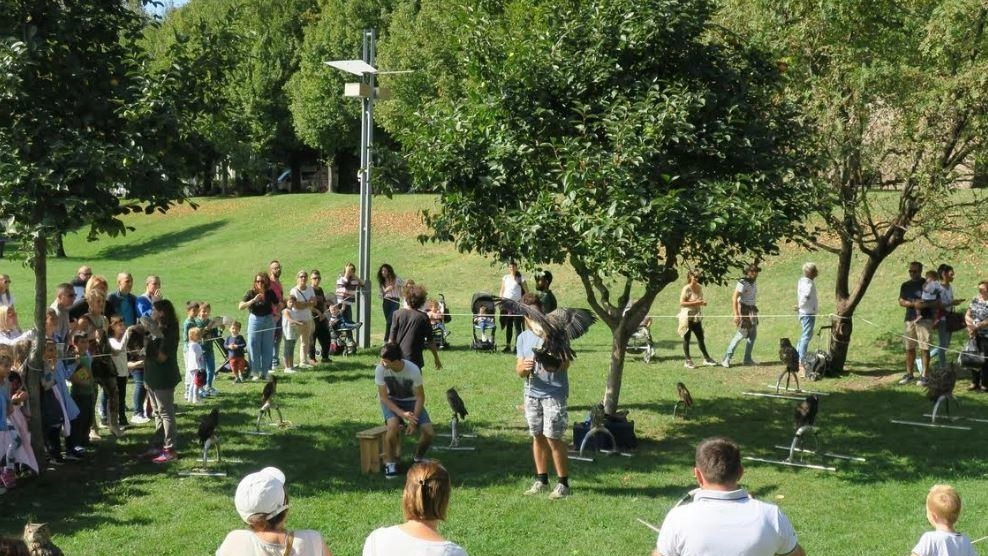 Strade e parcheggi chiusi per la fiera di San Michele. Primi divieti già da oggi