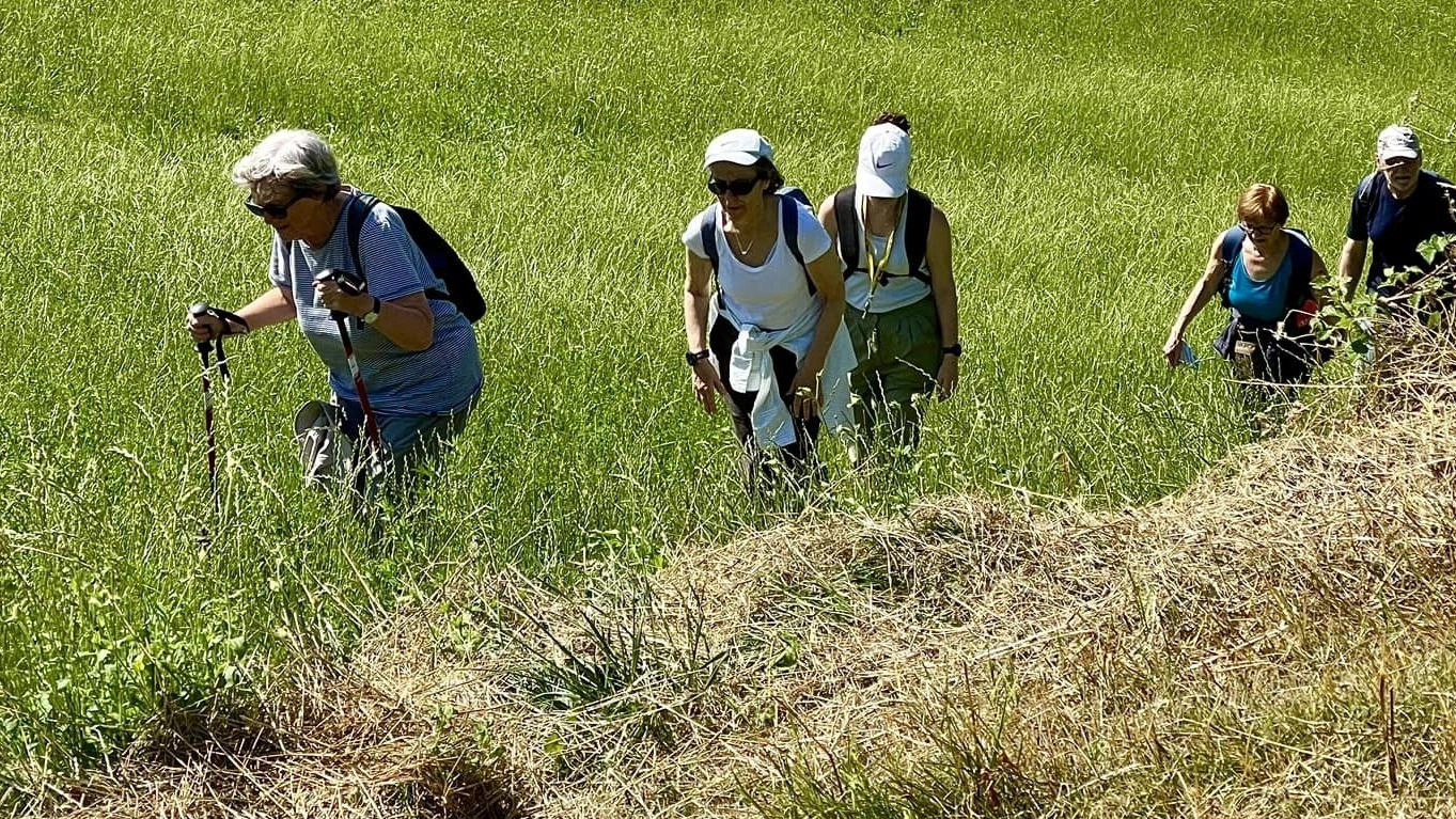 Visita guidata all’antica via Romea