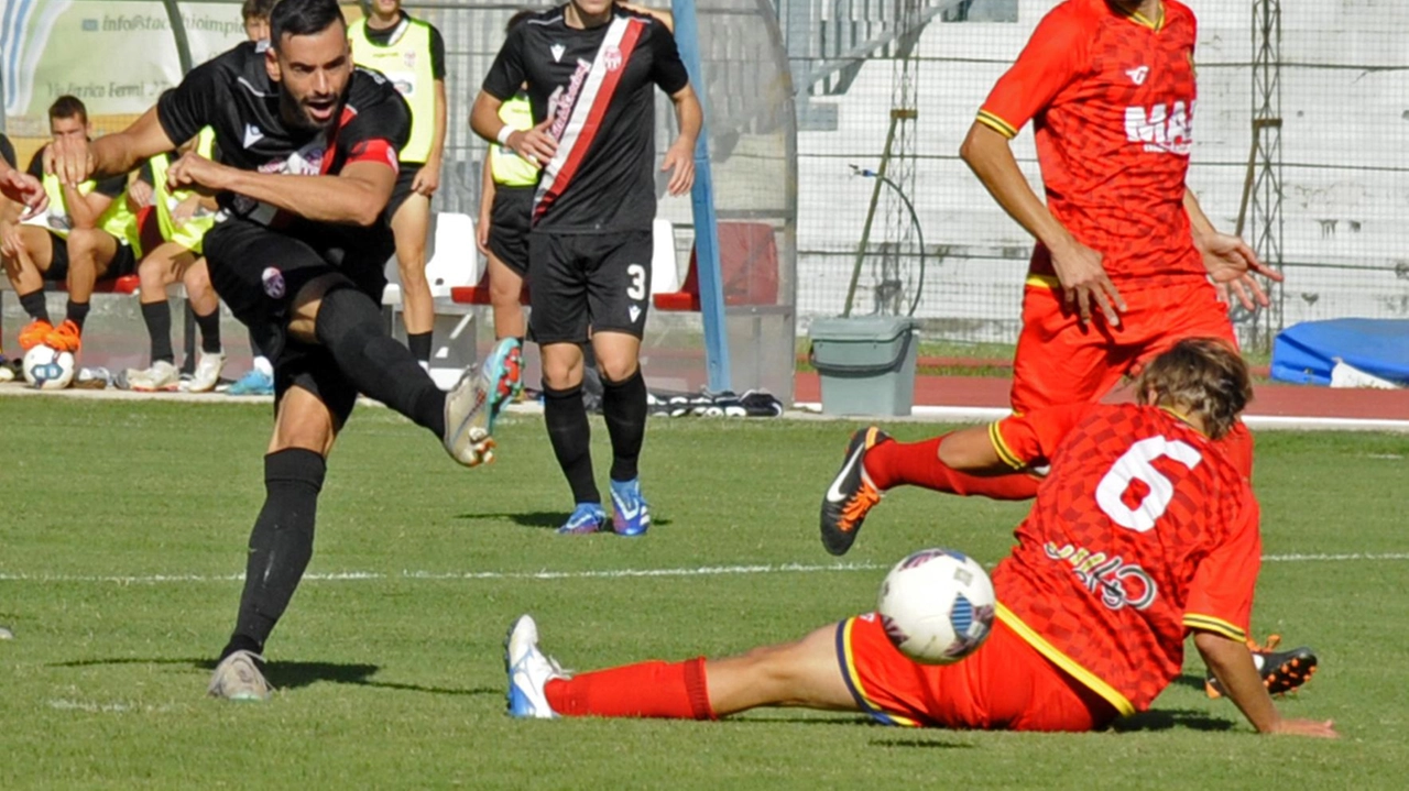 La Maceratese confida sui gol di Cognigni (foto Calavita)