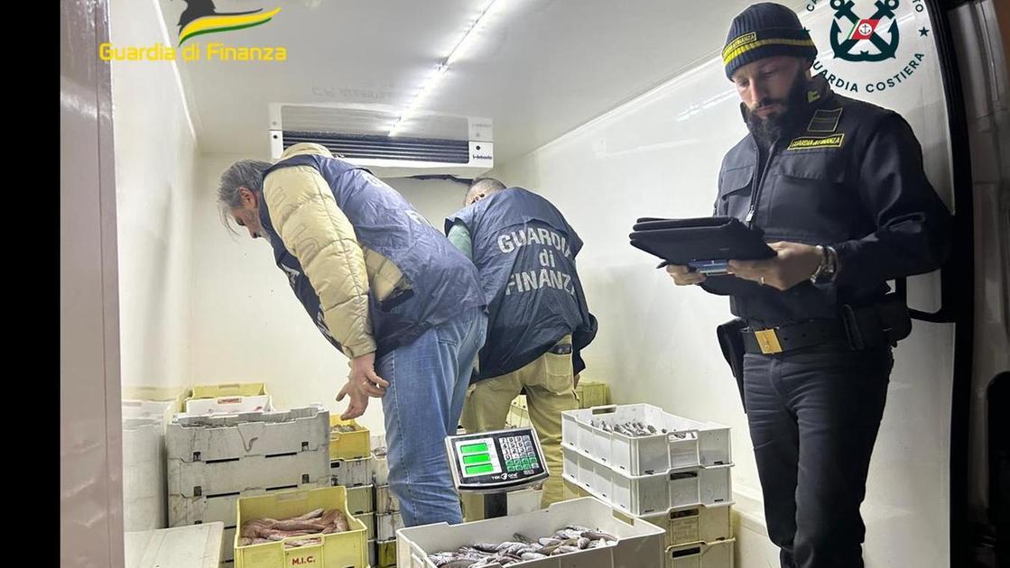 Sequestro di 600 chili di pesce al mercato nero: operazione congiunta della Guardia di Finanza e Costiera