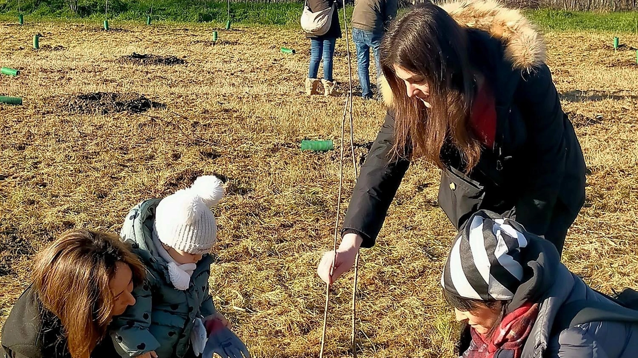 Formigine, l’oasi alberata sorgerà al parco ’Formigo’. Nell’area verrà realizzato. anche il giardino delle api.