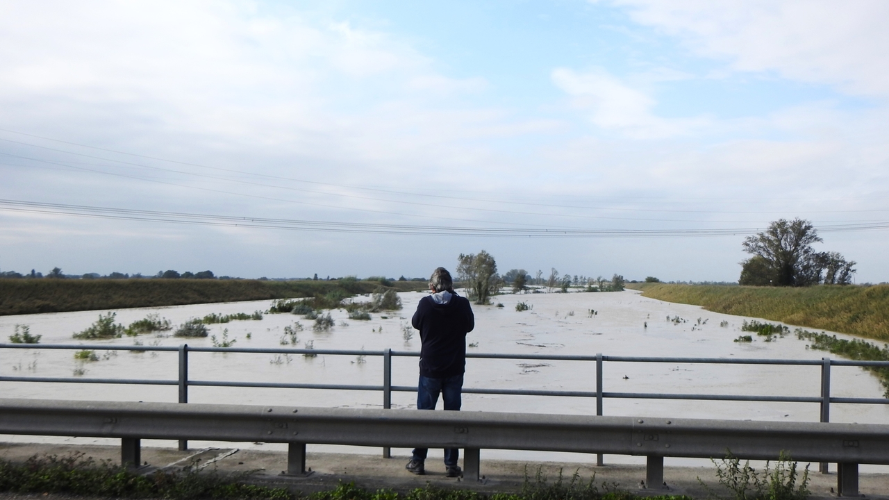 Fiume Santerno, domenica 20 ottobre 2024, a Villa Pianta di Alfonsine