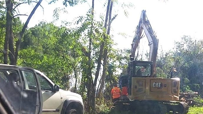 Al via la rimozione degli alberi secchi o caduti per i temporali