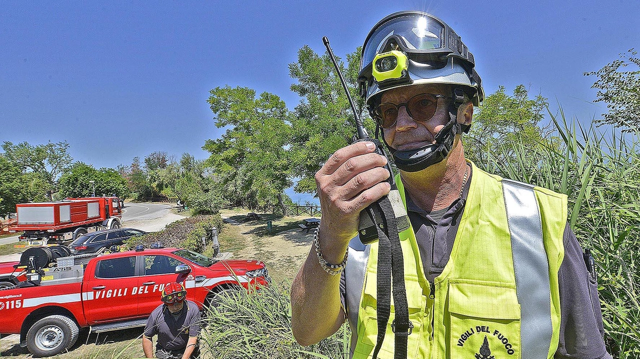 Il comando provinciale spiega le linee di azione per le emergenze. Oltre il 60 per cento degli interventi hanno riguardato alberi in fiamme.