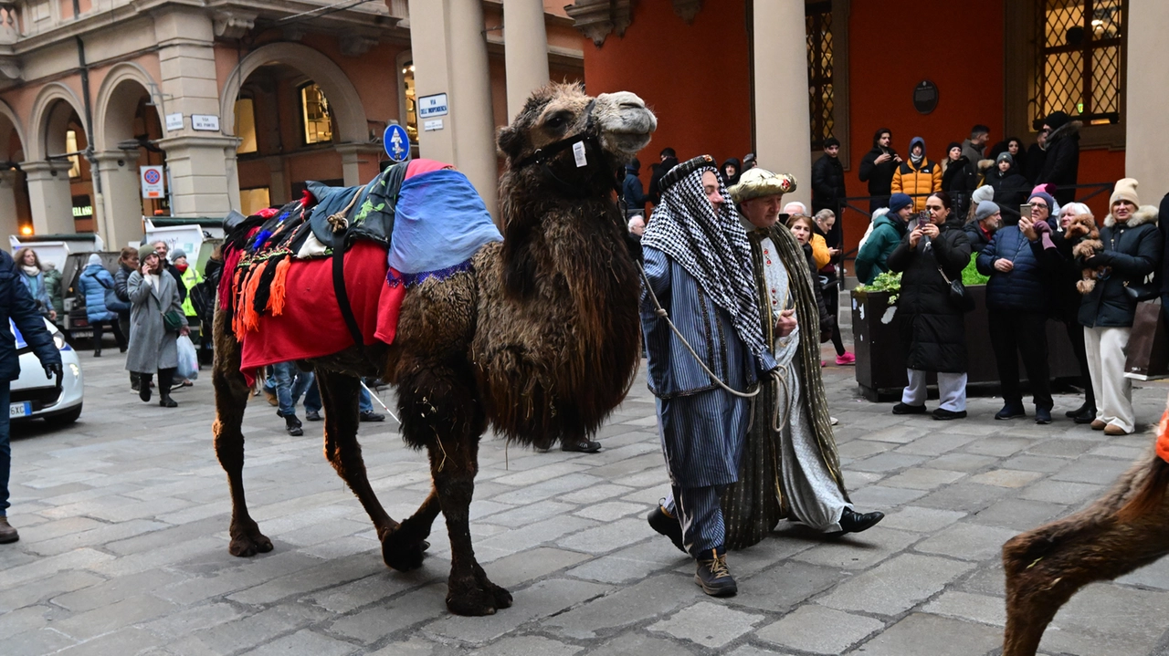 L'arrivo dei Re Magi in centro a Bologna con i cammelli (fotoschicchi)