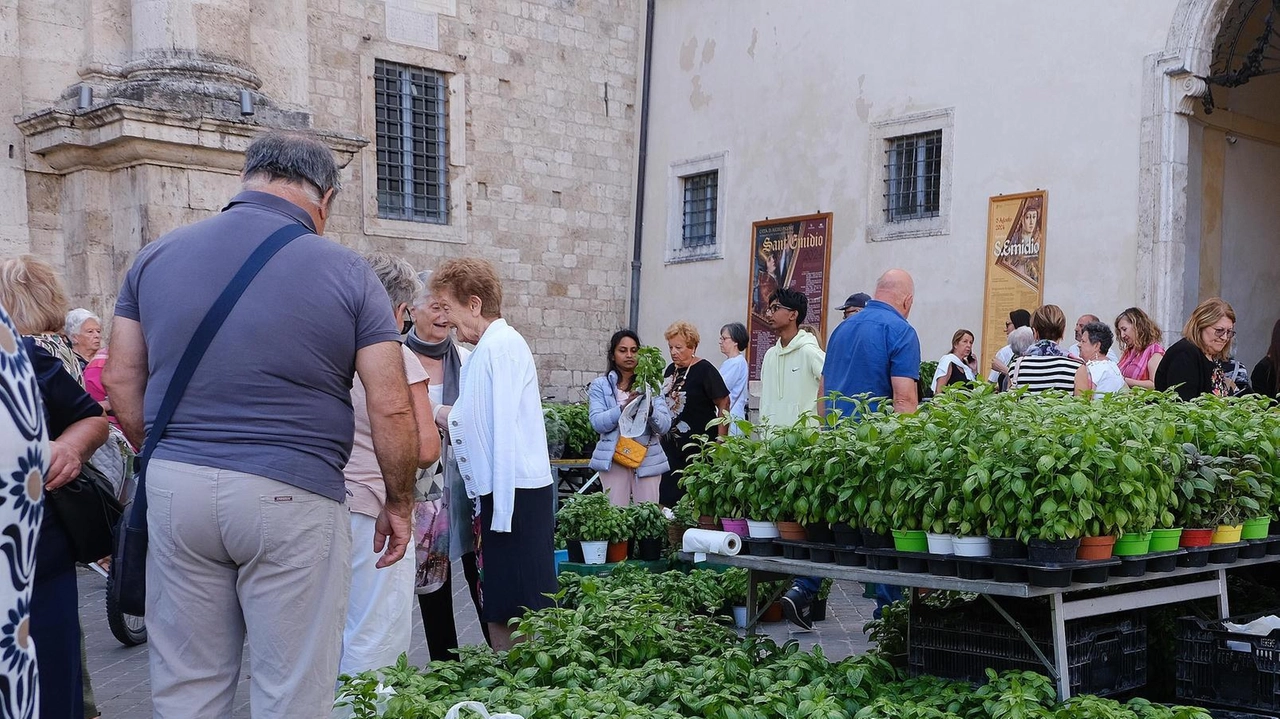 Duomo gremito già dalle prime ore di ieri (. La Bolognese