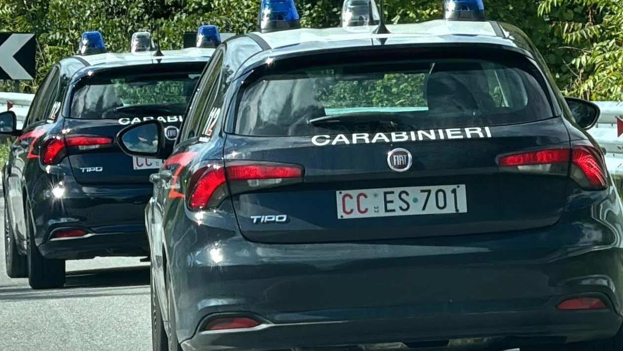 La donna aveva presentato denuncia ai carabinieri