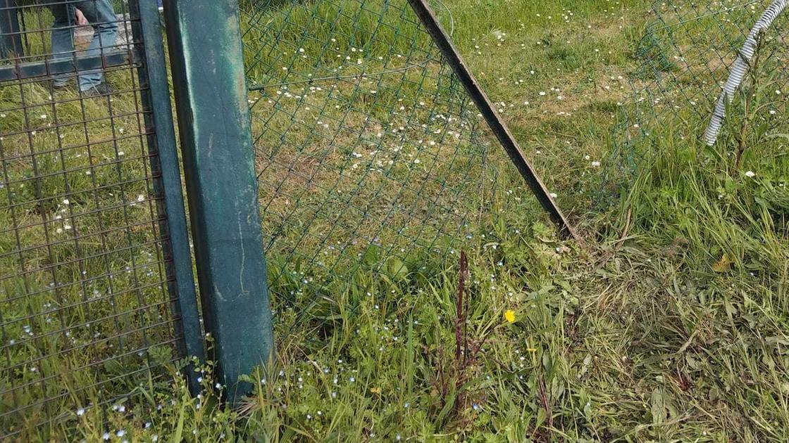 Furto di rame in contrada Foce Asola. Nel mirino un impianto fotovoltaico