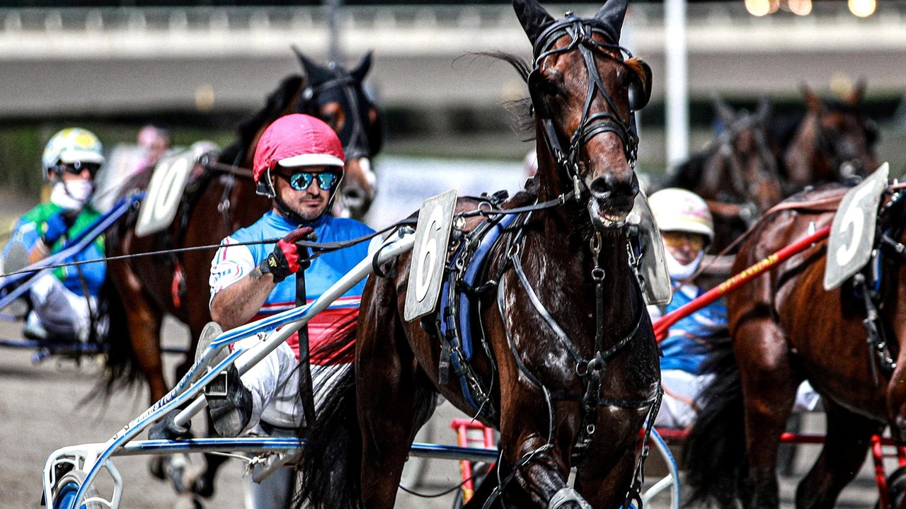 I cavalli in pista all’ippodromo del Savio