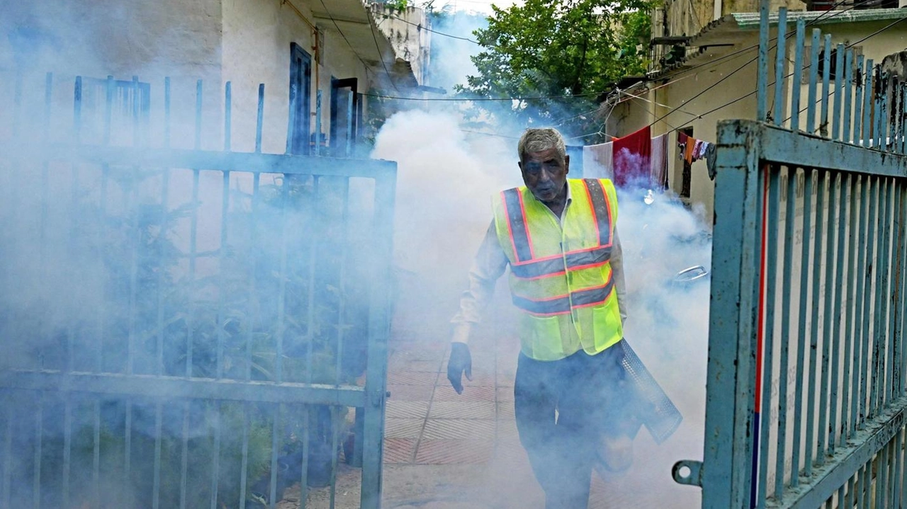 La Dengue rialza la testa: due nuovi  casi al Vallato