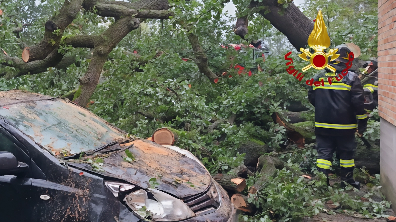 Crolla una quercia a Villa Potenza. Rami su auto e tetto di un’azienda