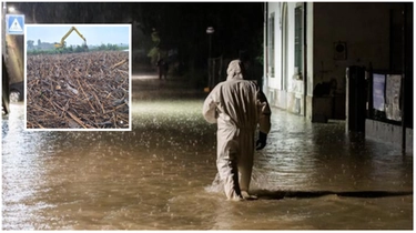 Alluvione Faenza (Ravenna), tra le cause dell’inondazione a Boncellino la diga di tronchi sul Lamone