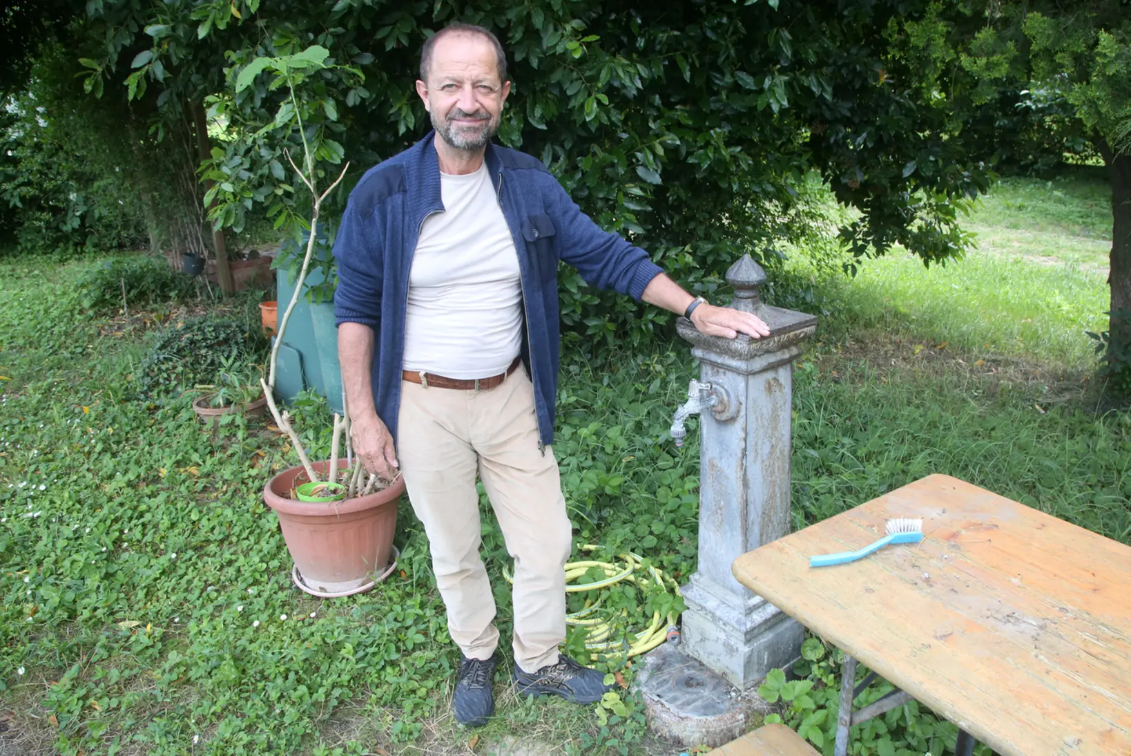 Zanzare in Emilia Romagna, pericolo oltre il fastidio. "Aumenta il rischio di malattie"