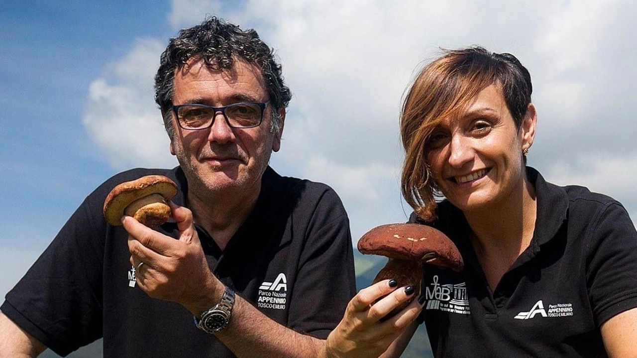 Il decimo Mondiale del Fungo si conclude oggi a Cerreto Laghi con la premiazione dei vincitori. Evento che ha visto la partecipazione di 430 concorrenti e numerose attività collaterali.