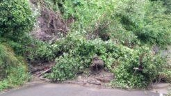 La frana sulla strada provinciale Sp76 in direzione del Castello di Carpineti ha causato la chiusura della carreggiata