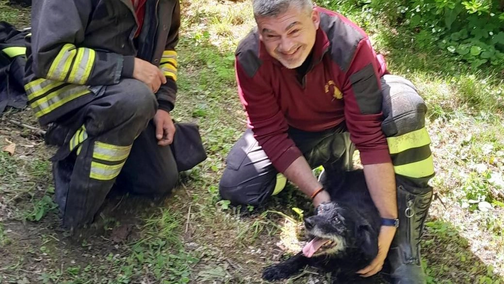 Il cagnolino Pepe salvato dai vigili del fuoco