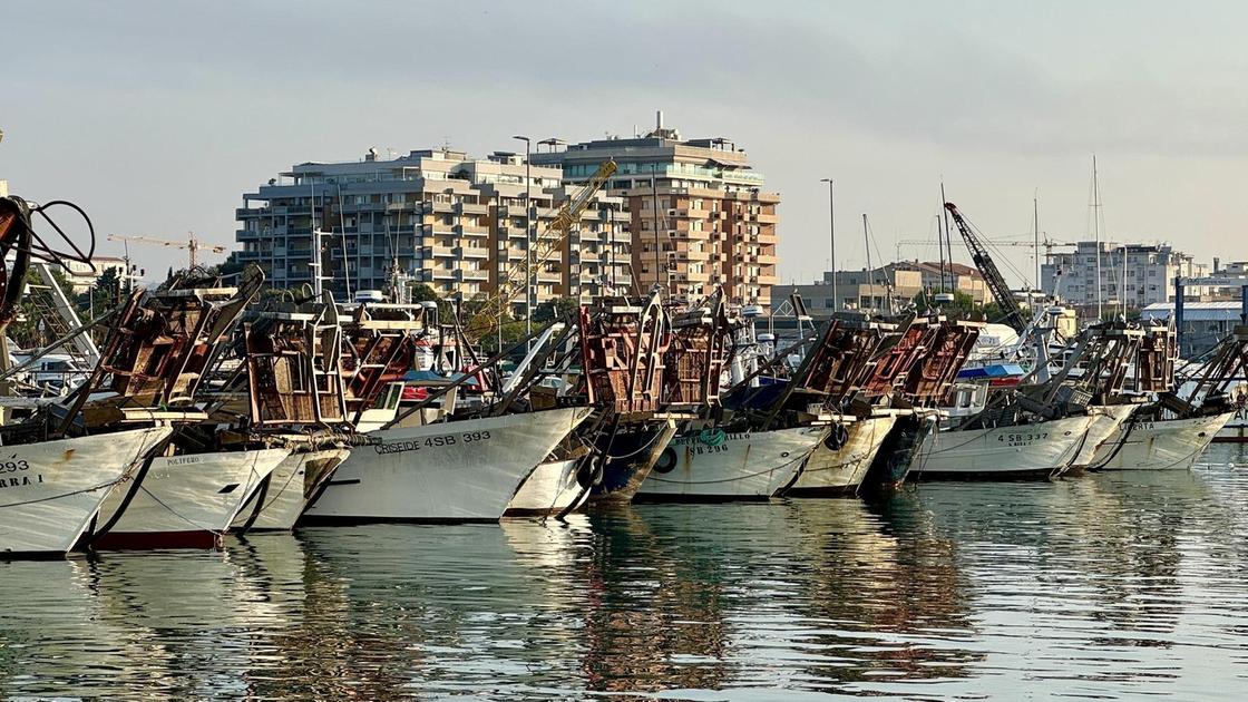 Vongolare, confermata la divisione del mare