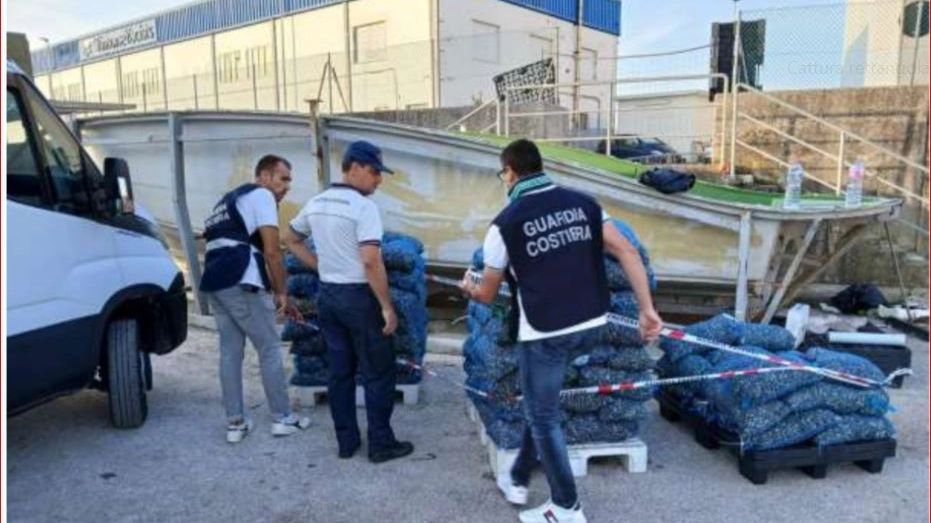 Due tonnellate di vongole rigettate in mare