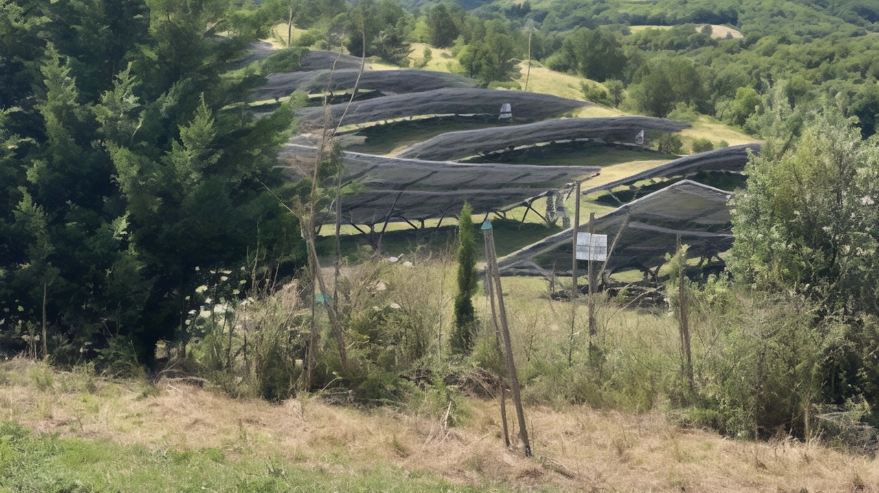 "Bene andare oltre la privatizzazione degli utili da parte delle aziende. Già troppi impianti a terra".