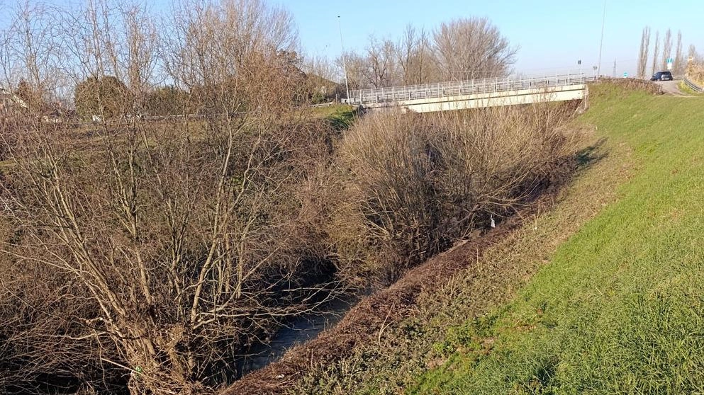 Arrivano nuove sollecitazioni agli enti preposti, in particolare AiPo, per ripristinare condizioni di maggiore sicurezza lungo i corsi d’acqua...