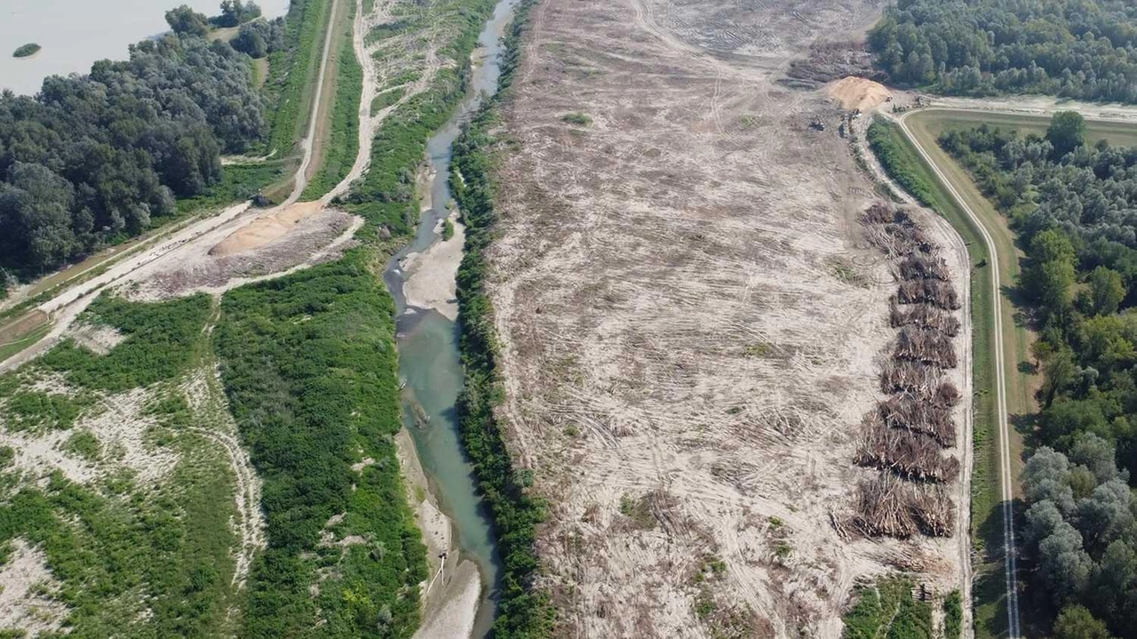 Un’immagine aerea che dà la misura dell’intervento: il Comitato ha calcolato che siano stati spazzati via 15 ettari di parco