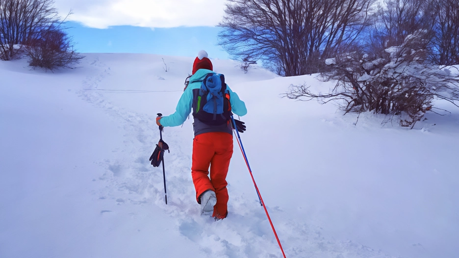 Sono state prese d’assalto le stazioni sciistiche abruzzesi: da Roccaraso a Campo Imperatore. Alla Bolognola si poteva sciare pure di notte. Ora resta l’attesa di poter utilizzare i fondi per la nuova funivia. .