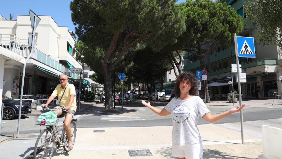 Petizione a Lido di Savio: "Non abbattete i pini di viale Romagna, sono sani"