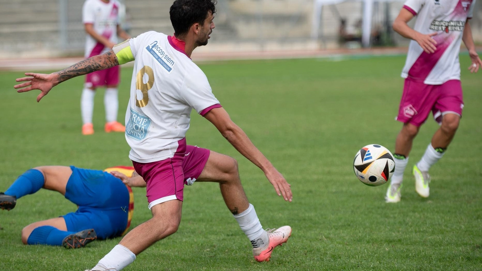 Tolentino, caccia alla qualificazione con il Montegranaro