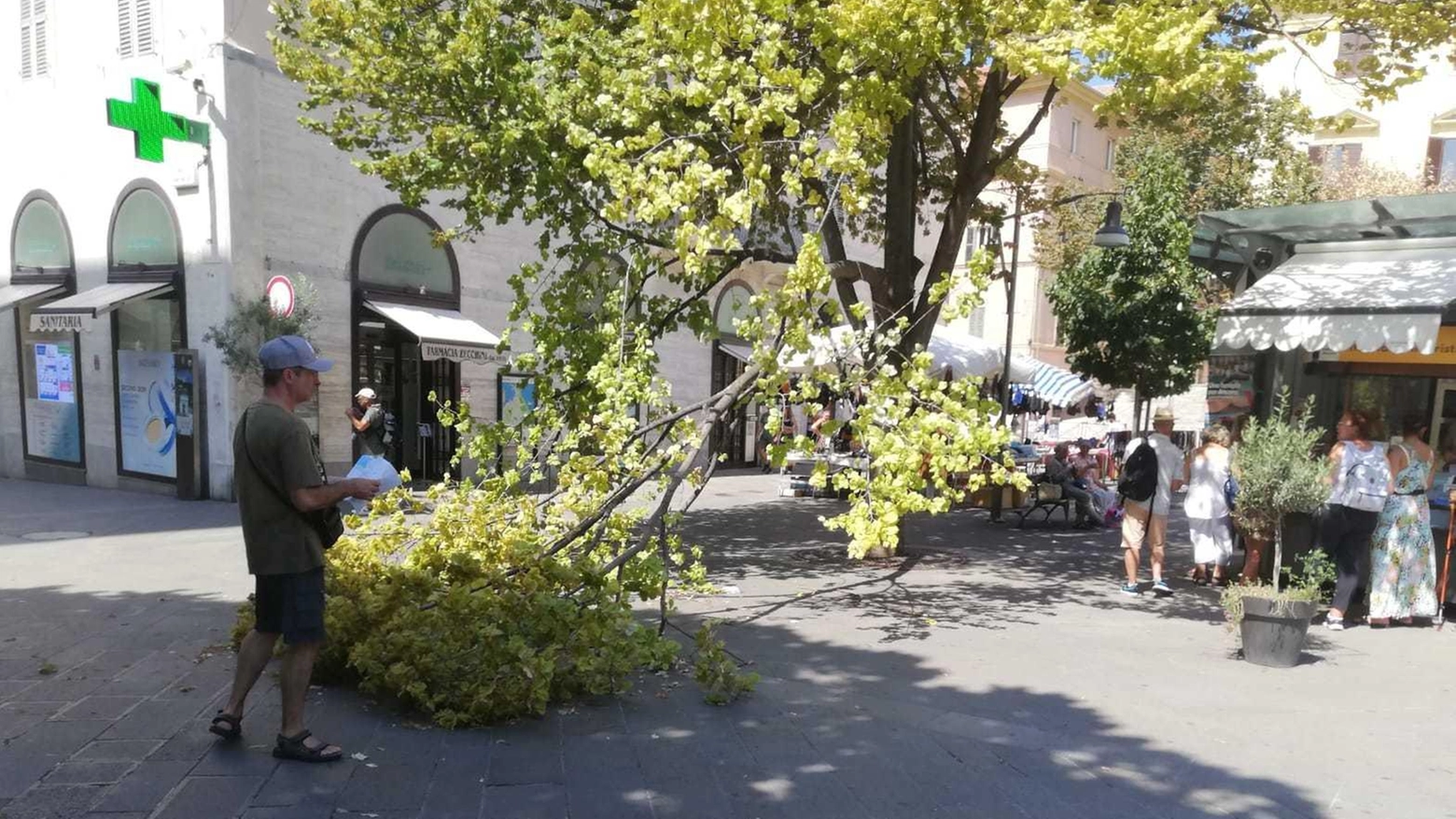 Degrado da paura . Crollo in piazza Roma, ramo sfiora i crocieristi: "Verde fuori controllo"