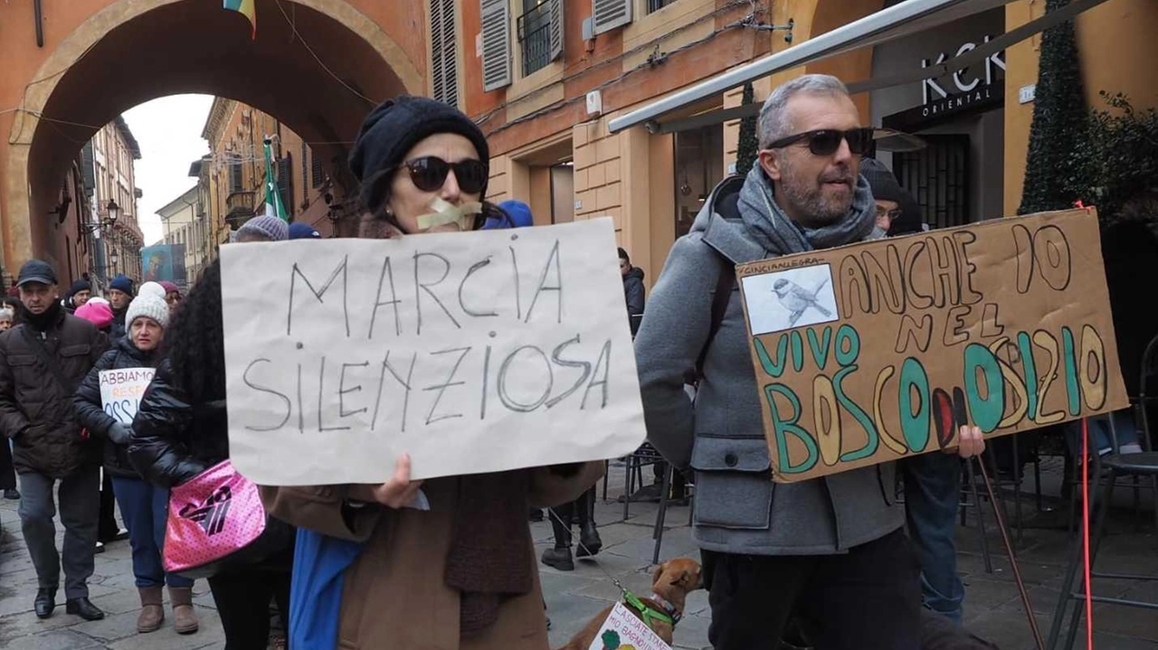 Il movimento non molla e rilancia la mobilitazione: "Ci fermeremo solo quando qualcosa cambierà". I cittadini presenti: "Salvare quel quadrante è fondamentale, chi costruisce riveda le sue priorità".