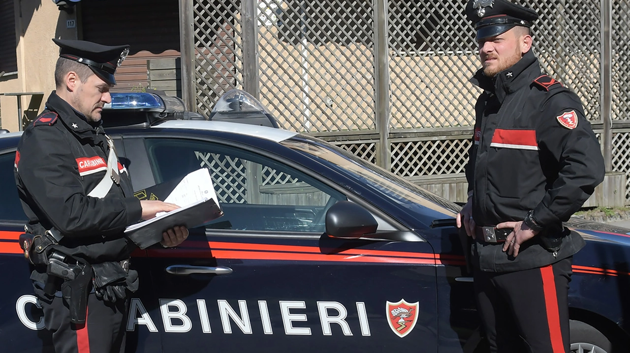 Sul caso indagano i carabinieri