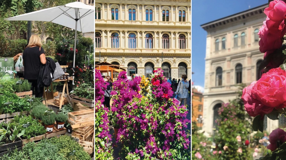 Le piazze durante Bologna In Fiore