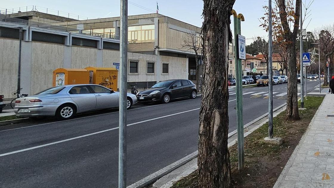 "Sostituiamo le piante pericolose. Ecco la verità sul piano del verde"