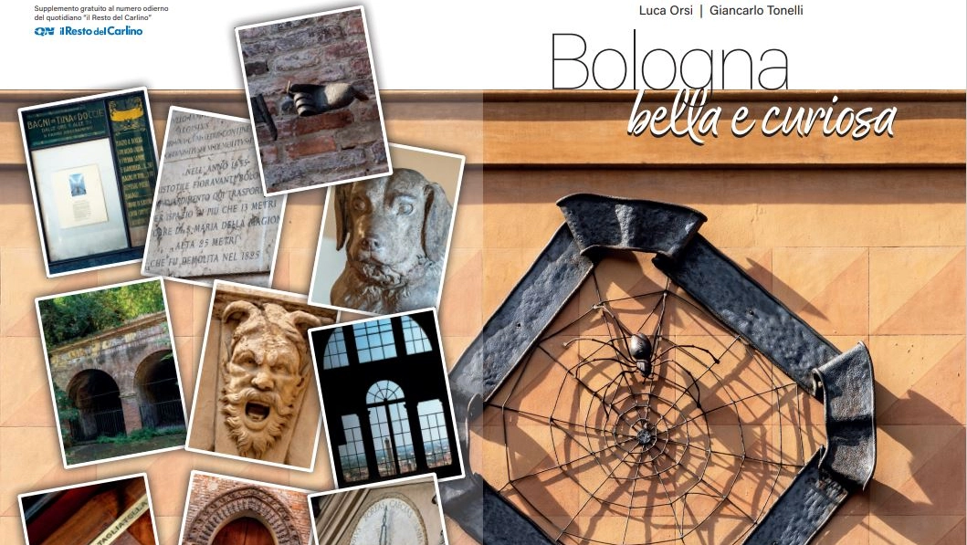 La copertina di 'Bologna bella e curiosa', venerdì 13 dicembre in omaggio con il nostro quotidiano