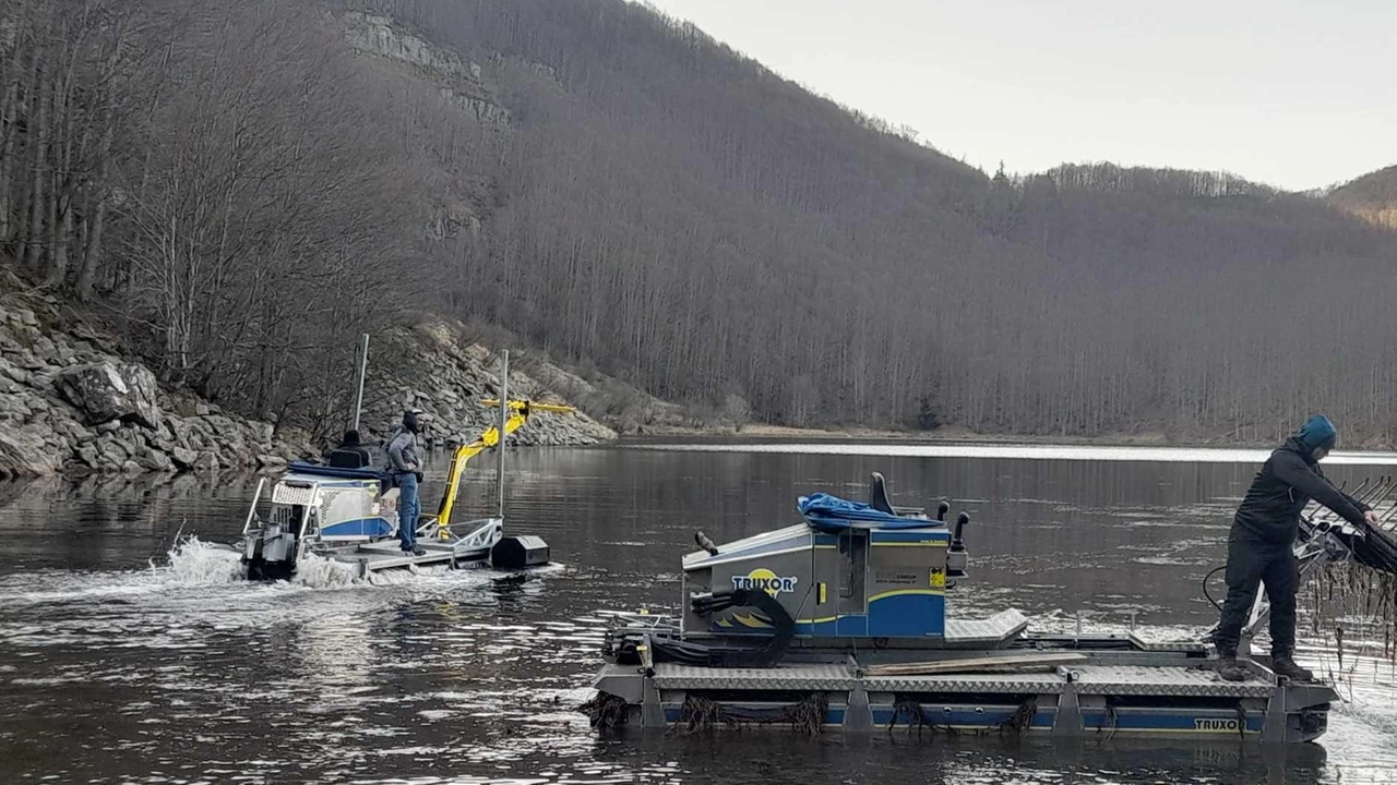 I ‘barchini’ anfibi utilizzati per rimuovere le erbe acquatiche dal Lago Santo