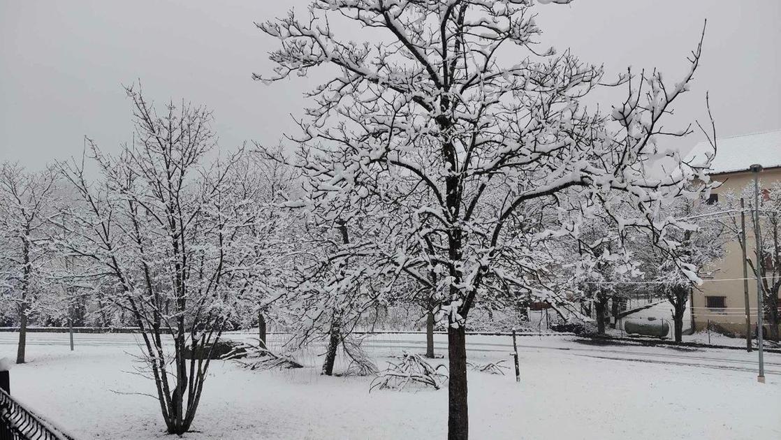 Previsioni neve oggi e domani in Emilia Romagna: dove e a che quota