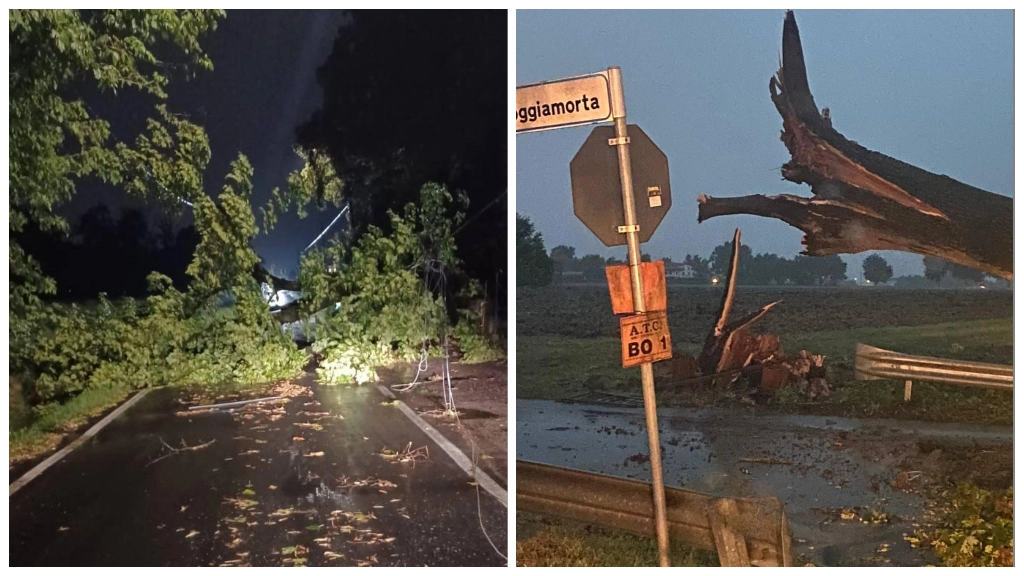 Maltempo e disagi in tutta l'Emilia Romagna: a Bologna e a Reggio Emilia alberi caduti anche sulle auto in sosta. A sinistra la situazione a Granarolo dell'Emilia e a destra un albero tranciato dal vento a Castenaso (Bologna)