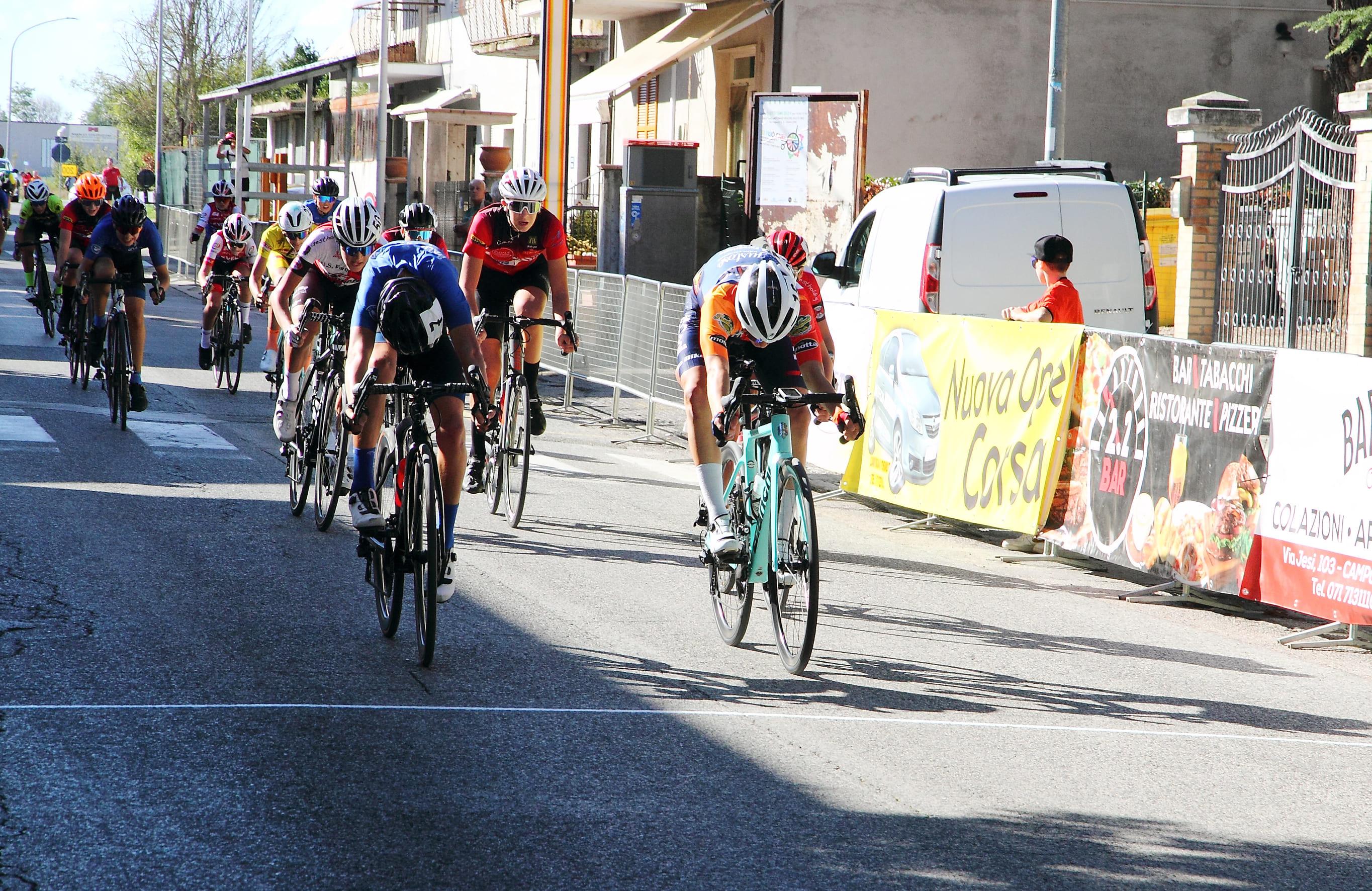 Coppa ciclistica