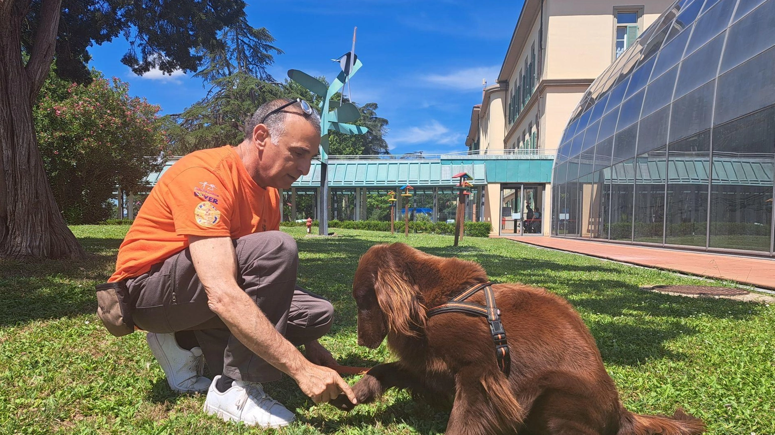 Il cane Kia della squadra di Pet Therapy del Mayer di Firenze: la sua compagnia ha aiutato la piccola Zoe di Casinalbo