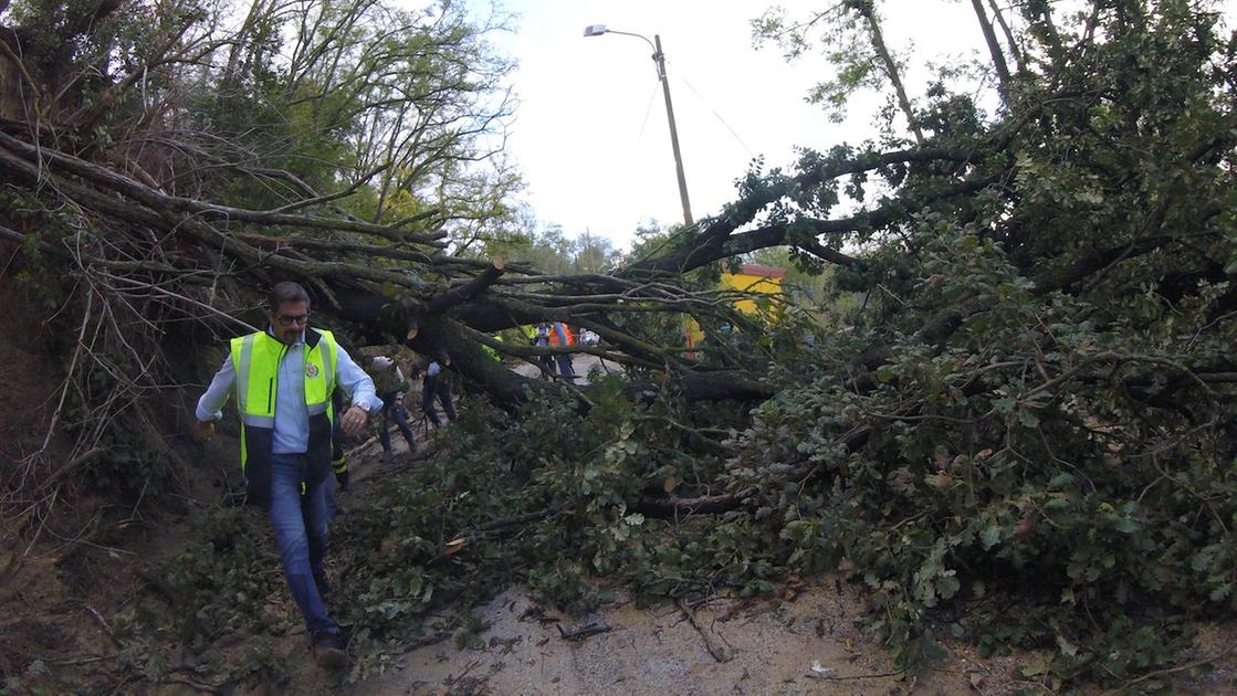 Alluvione nelle marche, danni e rimborsi. Summit in Regione coi sindaci. E arriva una nuova allerta