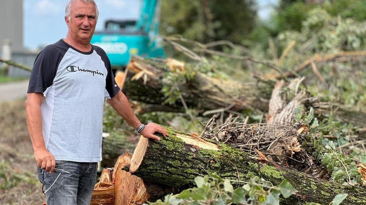 L'intervento di taglio di alberi a Codigoro per la realizzazione di uno svincolo d'uscita ha suscitato polemiche, ma è stato ridimensionato per garantire la sicurezza delle autobotti. Il consigliere comunale Barboni esprime preoccupazione per la mancanza di trasparenza nella comunicazione.