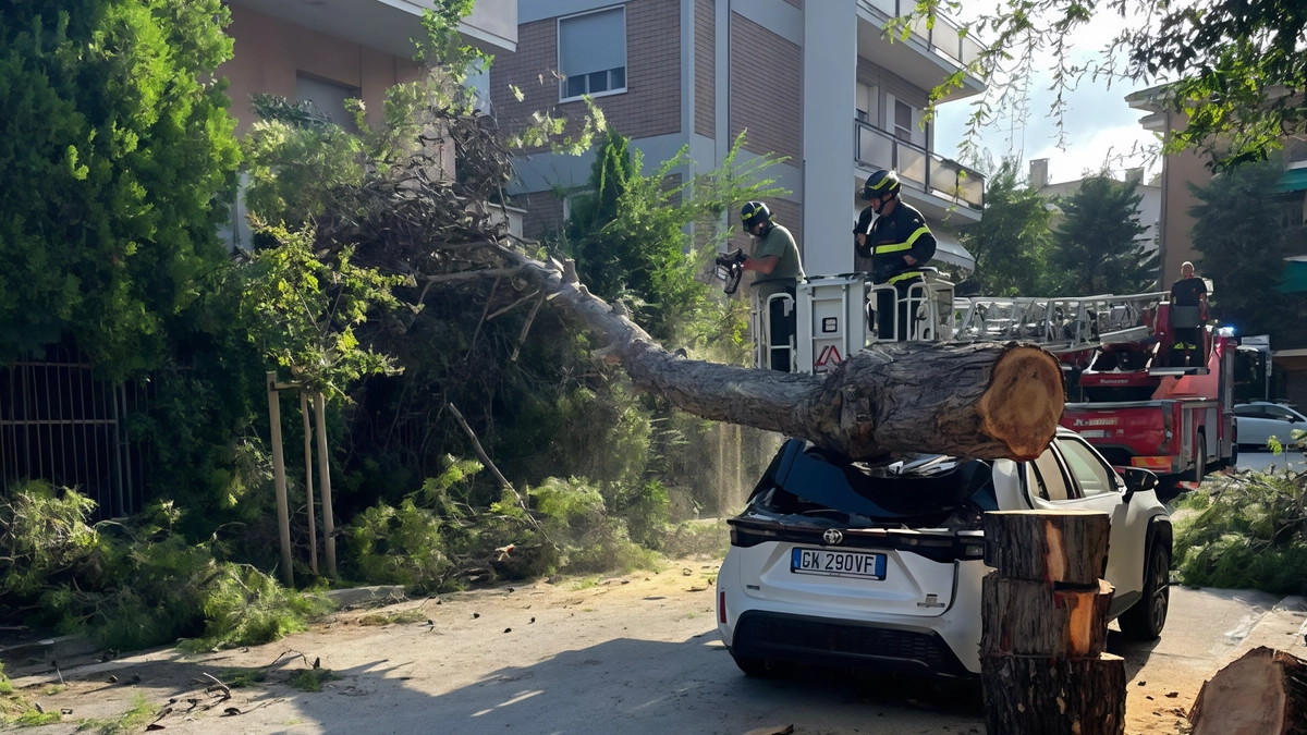 Rete fognaria cede a Senigallia: allagamenti e disagi per i residenti. Lavori in corso dividono la città, ma la pulizia del fiume Misa sembra aver evitato una nuova alluvione. Alberi caduti creano ulteriori problemi.