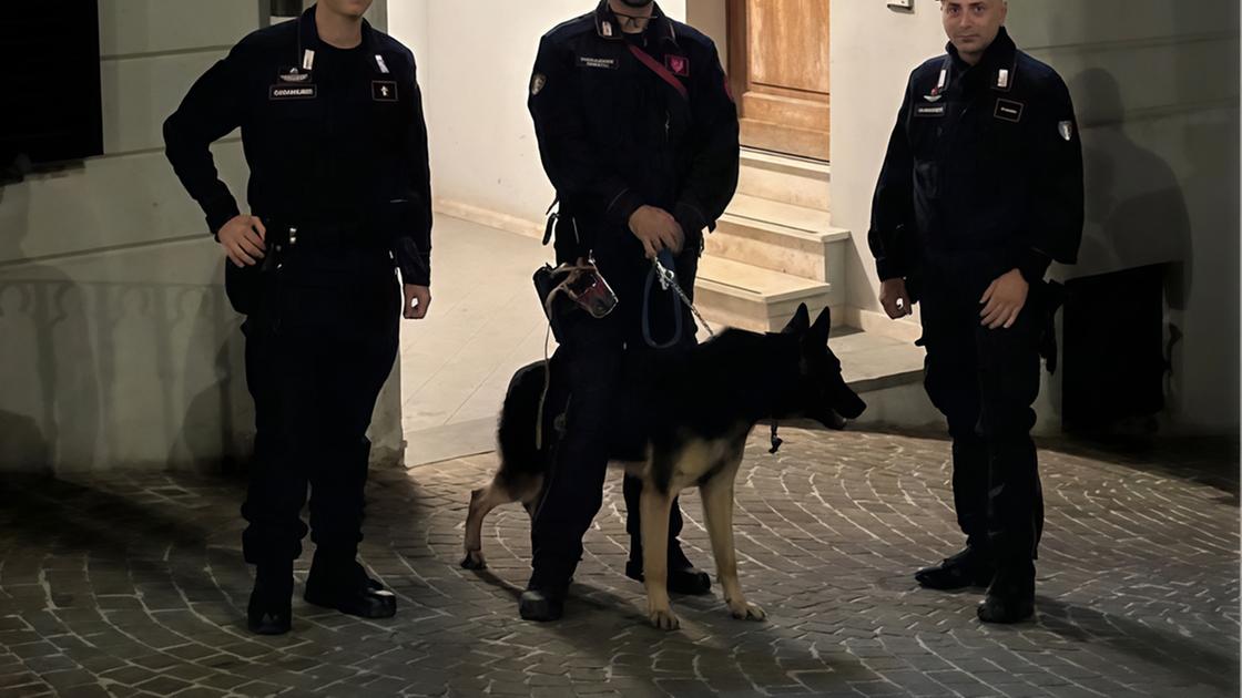 Ragazzi trovati a fumare hashish alla Festa dell’Uva di Arcevia